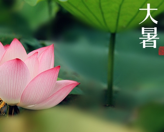 【2016 看片APP陶瓷】大暑，你需要注意这些
